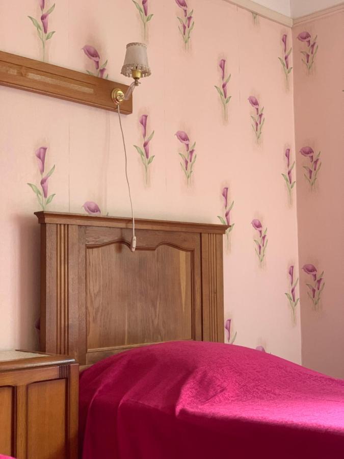 Hotel Restaurant D'Alsace Plombières-les-Bains Eksteriør billede